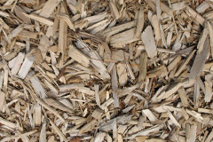 biomass boilers Llanegwad